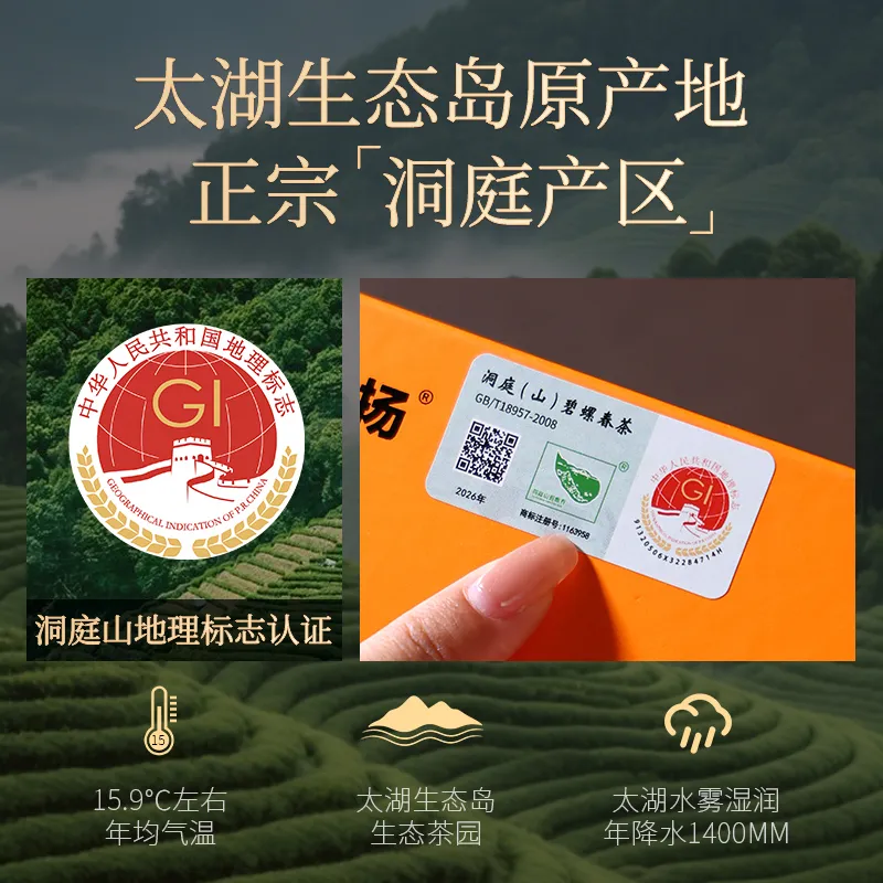 圣茗扬洞庭碧螺春一级包装展示